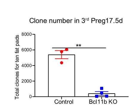Open access visualization of Bar Plot, Scatter Plot, Error Bars, Bar Chart, GFP-positive Clones