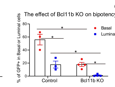 Open access visualization of Bar Plot, Error Bars, Bar Charts, GFP-labeled Cells, Epithelial Population