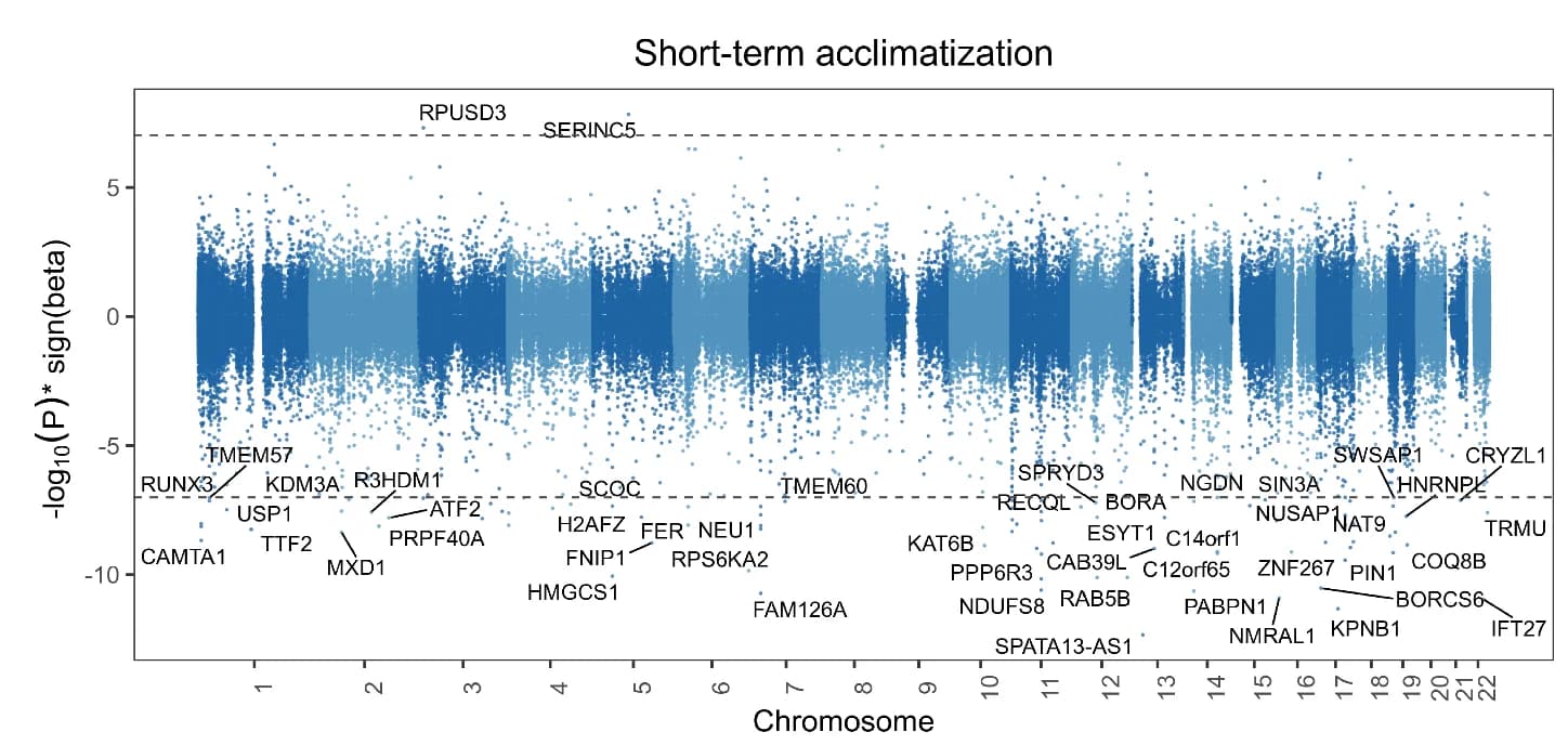 Open access visualization of Manhattan Plot, Manhattan Plots, MWAS Results, Genomic Position, Methylome-Wide Significance Thresholds