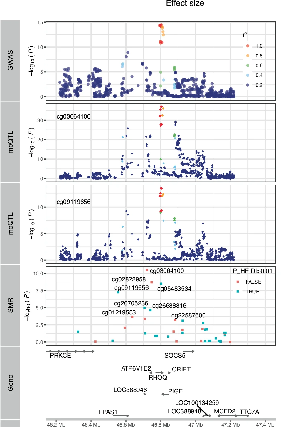 Open access visualization of Scatter Plot, Locuszoom Plot, Manhattan Plot, Genetic Loci, meQTL