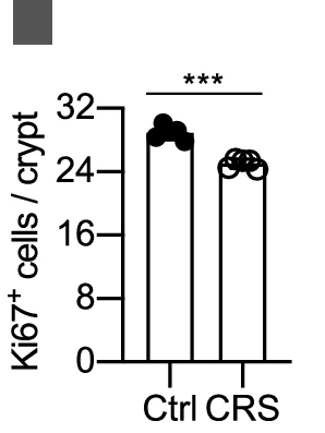 Open access visualization of Bar Plot, Scatter Plot, Hematoxylin and Eosin Staining, Jejuna, Control Mice