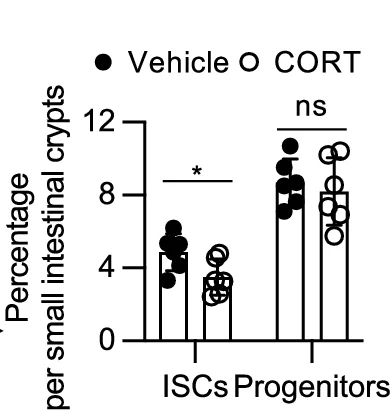 Open access visualization of Bar Plot, Scatter Plot, ISCs, Lgr5-EGFP High, Progenitor Cells