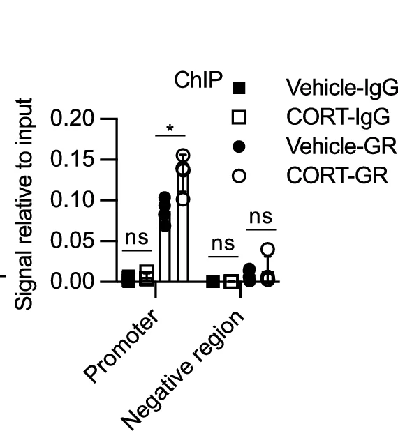 Open access visualization of Bar Plot, Scatter Plot, Error Bars, Chromatin Immunoprecipitation Assay, NR3C1