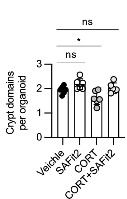 Open access visualization of Bar Plot, Scatter Plot, Western Blot, AKT, pAKT