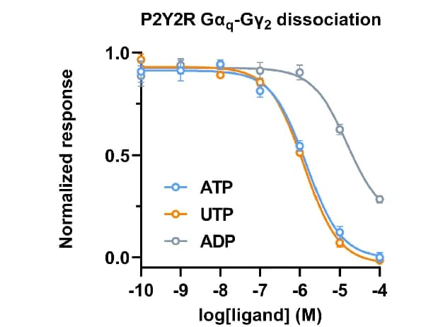 Open access visualization of Line Plot, Error Bars, Dose-Response Curves, P2Y2R, Ligands