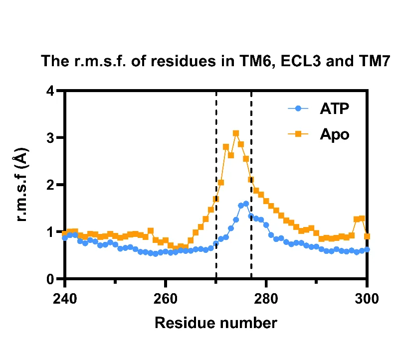 Open access visualization of Line Plot, TM6, TM7, P2Y2R, MD Simulations