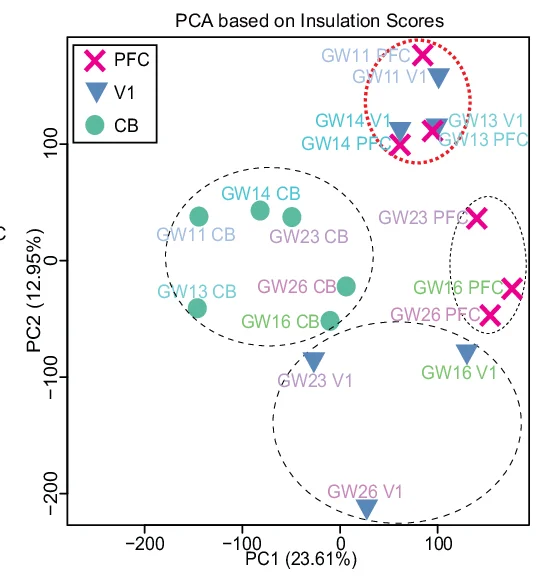 Open access visualization of Scatter Plot, PCA, PFC, V1, CB