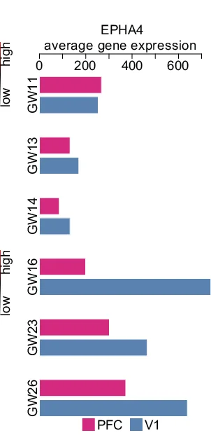 Open access visualization of Bar Plot, Clustered, Barplot, EPHA4 Gene, PFC