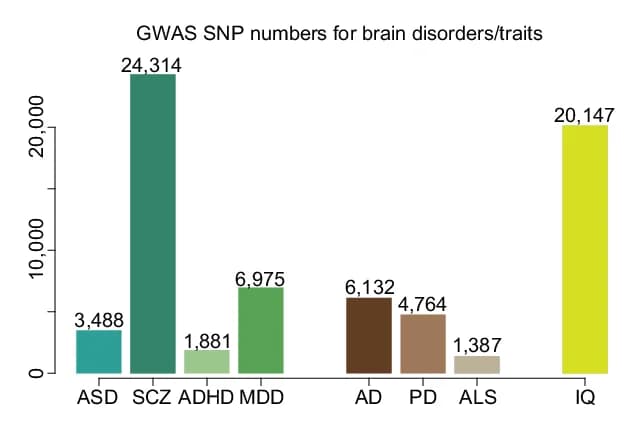 Open access visualization of Bar Plot, GWAS, LD, SNP, Neuropsychiatric Disorders