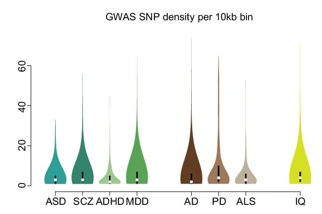 Open access visualization of Violin Plot, GWAS, SNP, Density, Neuropsychiatric Disorders