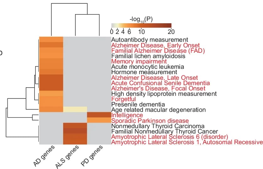 Open access visualization of Heatmap, Clustered, Hierarchical Clustering, Disease Catalog, DisGeNET