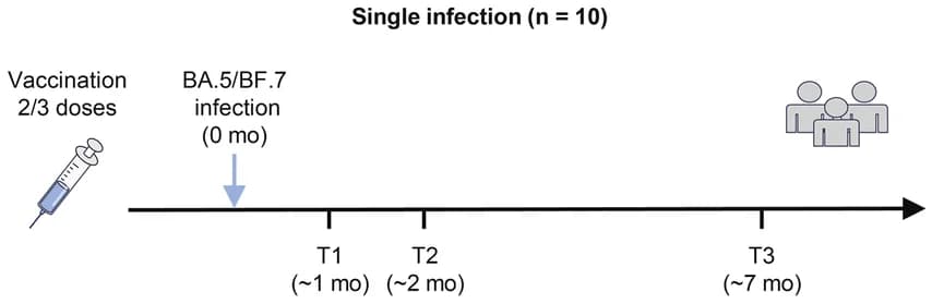 Open access visualization of Workflow, Illustration, Blood Collection, BA.5/BF.7 Infection, Participants