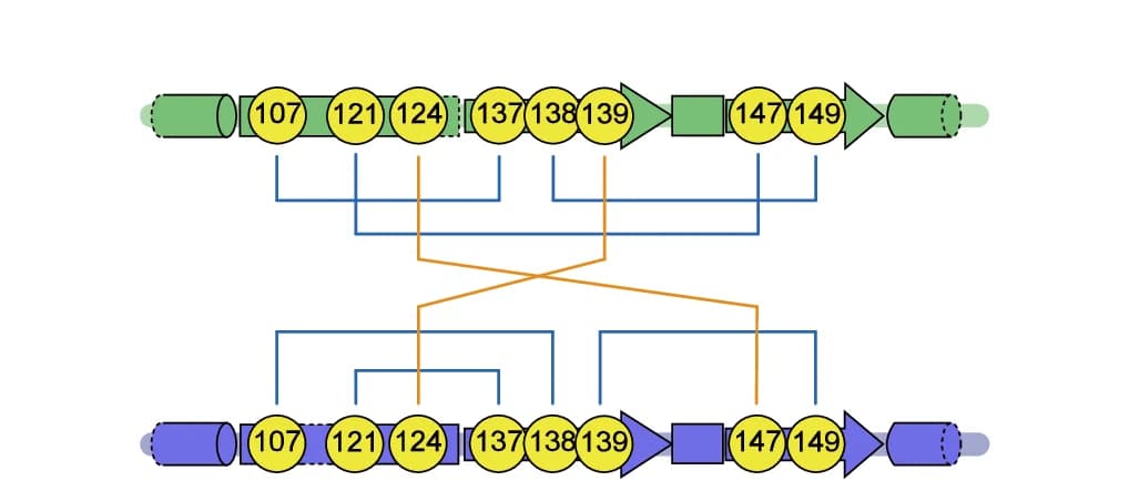 Open access visualization of Workflow, Flowchart, Illustration, AGL Type A, Schematic Diagram