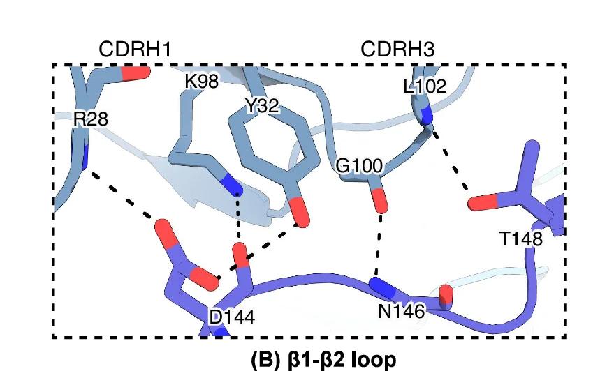 Open access visualization of Protein Structure, Chemical Structure, Fab H006 -VH, HBsAg, Interface