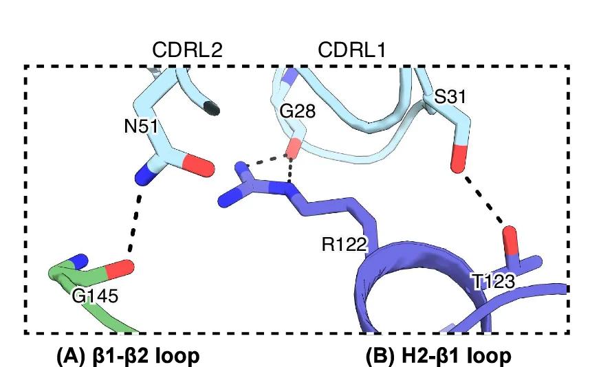 Open access visualization of Protein Structure, Chemical Structure, Fab H006 -VL, HBsAg, Interface