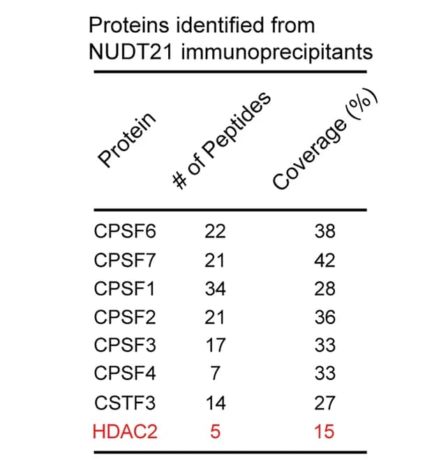 Open access visualization of Table Image, Table, Mass Spectrometry, Proteins