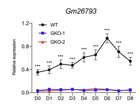 Open access visualization of Line Plot, Error Bars, qPCR, Gm26793 Transcript, Spontaneous Differentiation