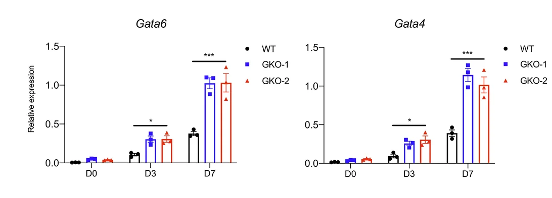 Open access visualization of Bar Plot, Error Bars, Clustered, Temporal Expression Dynamics, Gata6