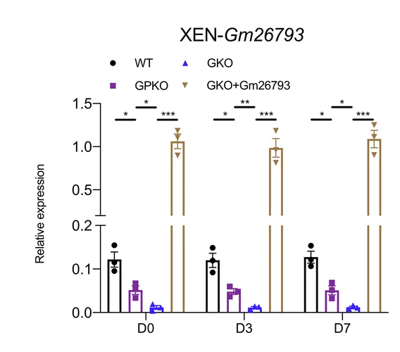 Open access visualization of Bar Plot, Error Bars, Scatter Plot, Time-Series Expression, XEN Differentiation