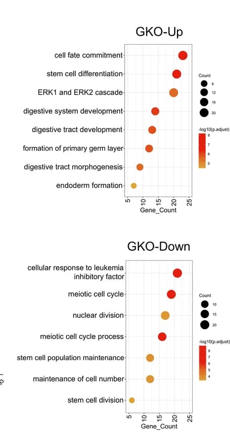 Open access visualization of Scatter Plot, Bubble Plot, Volcano Plot, Quantification, Fgf15 Transcripts