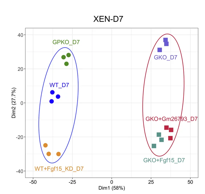 Open access visualization of Scatter Plot, PCA, PCA Analyses, XEN-D7 Differentiation, Transcriptome Similarities