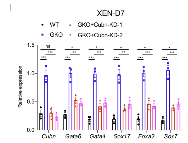 Open access visualization of Bar Plot, Error Bars, Gene Expression, PrE Genes, XEN Differentiation