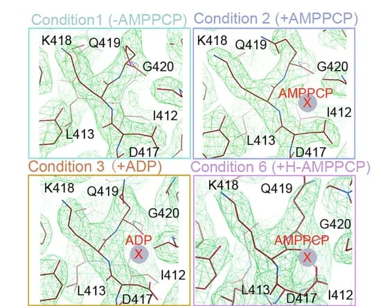 Open access visualization of Protein Structure, Chemical Structure, Nucleotides, TMEM94, Control