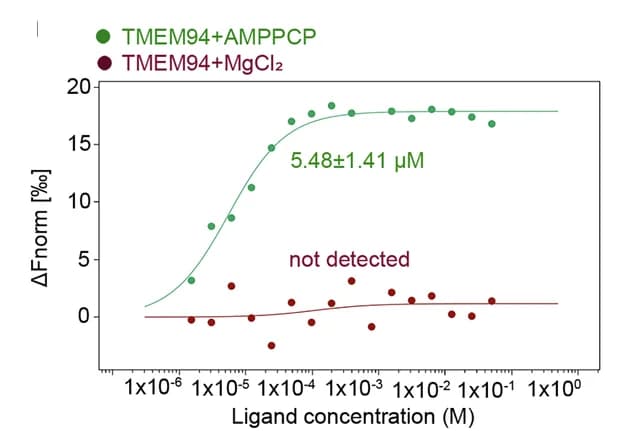 Open access visualization of Line Plot, Scatter Plot, MST Assays, TMEM94, AMPPCP
