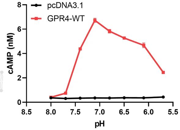 Open access visualization of Line Plot, Error Bars, pH, cAMP, GPR4