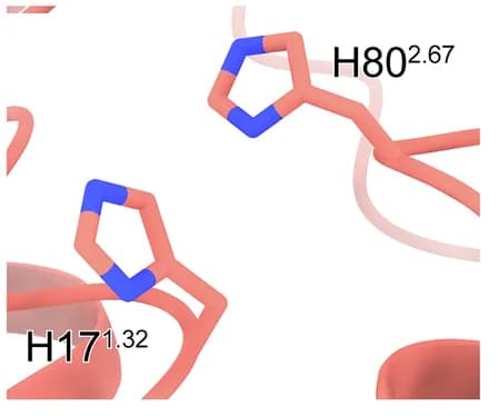 Open access visualization of Protein Structure, Chemical Structure, Interaction, Residues