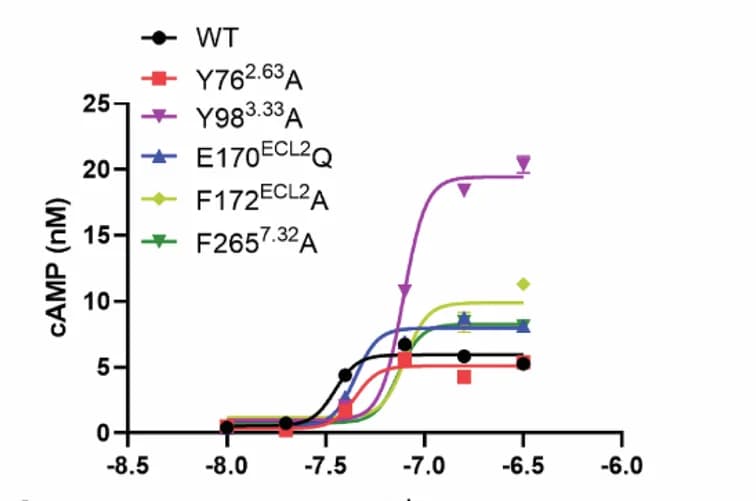 Open access visualization of Line Plot, Error Bars, Mutations, GPR4, cAMP Accumulation
