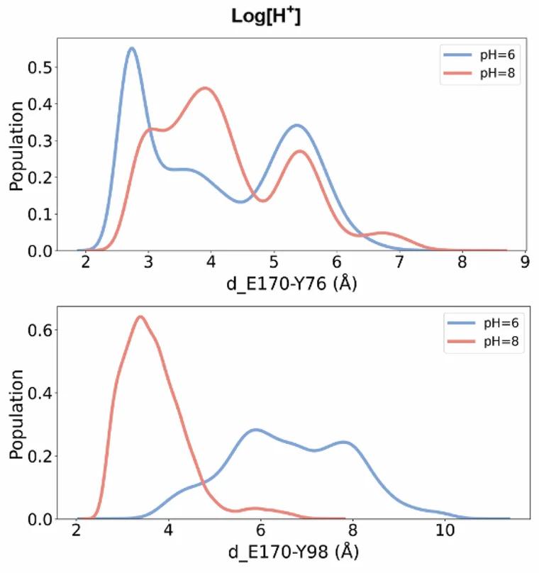 Open access visualization of Line Plot, Density Plot, Conformation Distribution, pH, Side-Chain Distance
