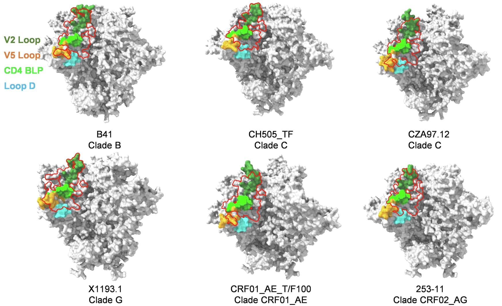 Open access visualization of Protein Structure, FD22 Fab, HIV Env SOSIP Trimer, AlphaFold3, gp120