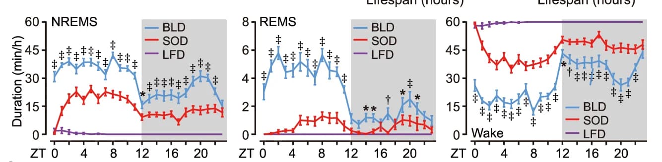 Open access visualization of Line Plot, Error Bars, Duration, NREMS, REMS