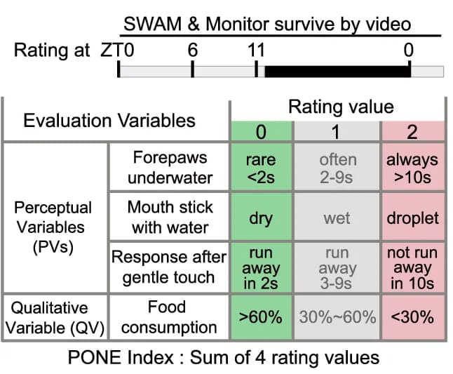 Open access visualization of Table Image, Schematic, PONE, Index Calculation