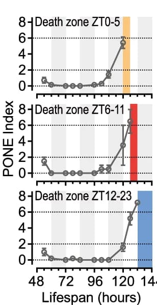 Open access visualization of Line Plot, Error Bars, PONE, Index Development, Mice