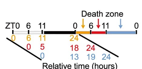 Open access visualization of Illustration, Timeline, PONE, Index Rating