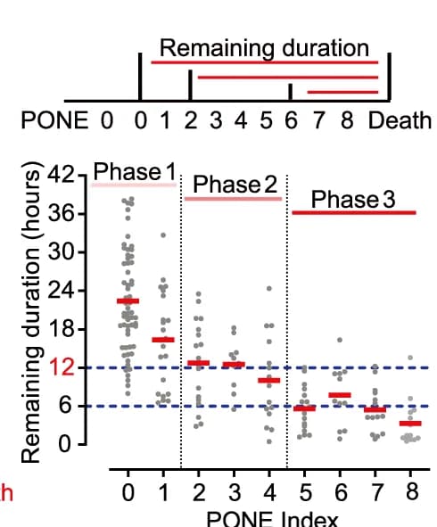 Open access visualization of Scatter Plot, PONE, Index Values, Survival Duration