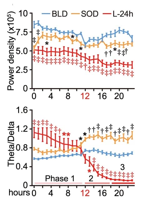 Open access visualization of Line Plot, Error Bars, Action Potential Frequency, AD Neurons, PD Neurons