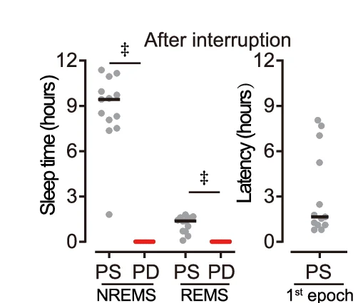 Open access visualization of Scatter Plot, Sleep Time, Sleep Latency, SWAM Interruption, PS Mice
