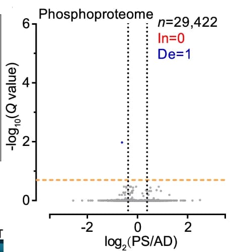 Open access visualization of Volcano Plot, Volcano Plots, Phosphopeptides, PS/AD, t-test