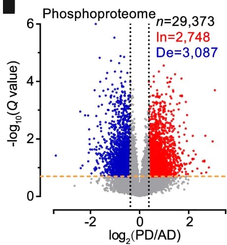 Open access visualization of Volcano Plot, Volcano Plots, Phosphopeptides, PD/AD, t-test