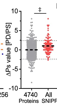 Open access visualization of Scatter Plot, Quantitative Ps Analysis, SNIPPs, PD/PS, Hyperphosphorylation