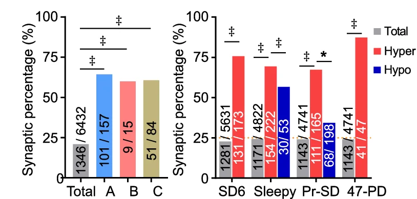 Open access visualization of Bar Plot, Clustered, Synaptic Percentage Analysis, Phosphoproteins, Hyper-phosphoproteins