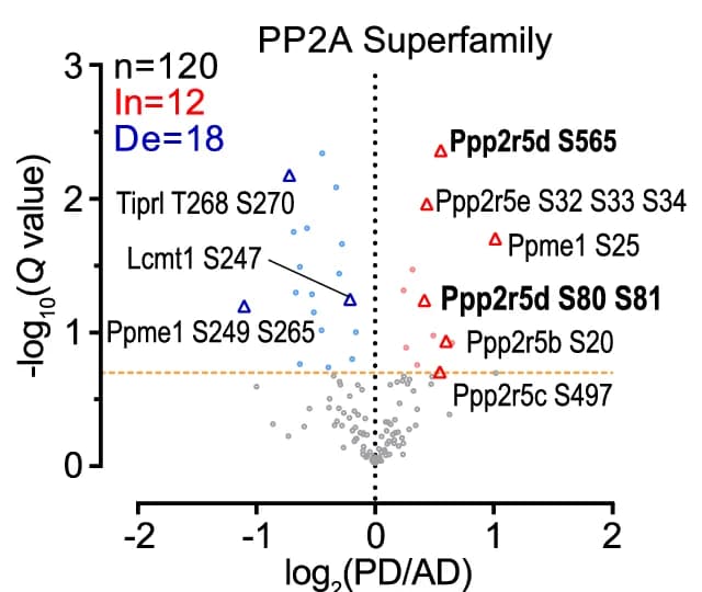 Open access visualization of Volcano Plot, Scatter Plot, Volcano Plots, Phosphopeptides, PP2A Family