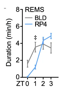 Open access visualization of Line Plot, Error Bars, REMS, BLD, Recovery Period
