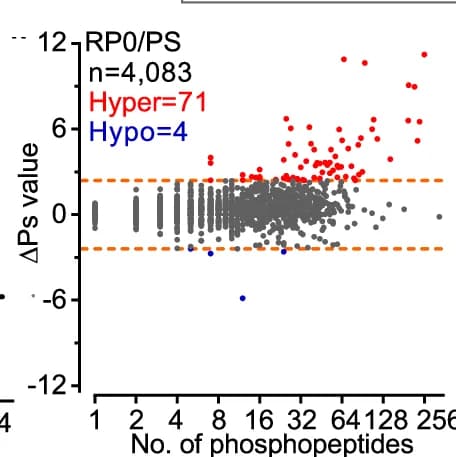 Open access visualization of Scatter Plot, Global ΔPs Analysis, RP0/PS Comparison