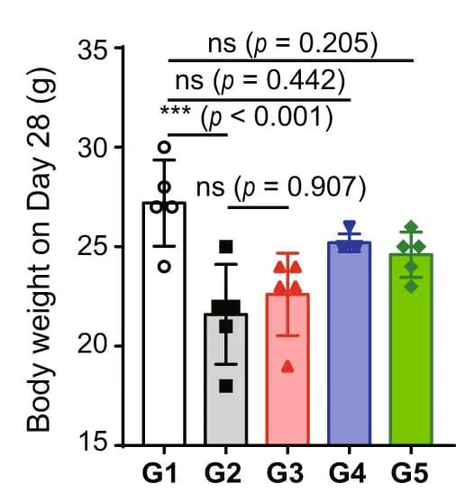 Open access visualization of Bar Plot, Error Bars, Body weight, Mice, End of experiment