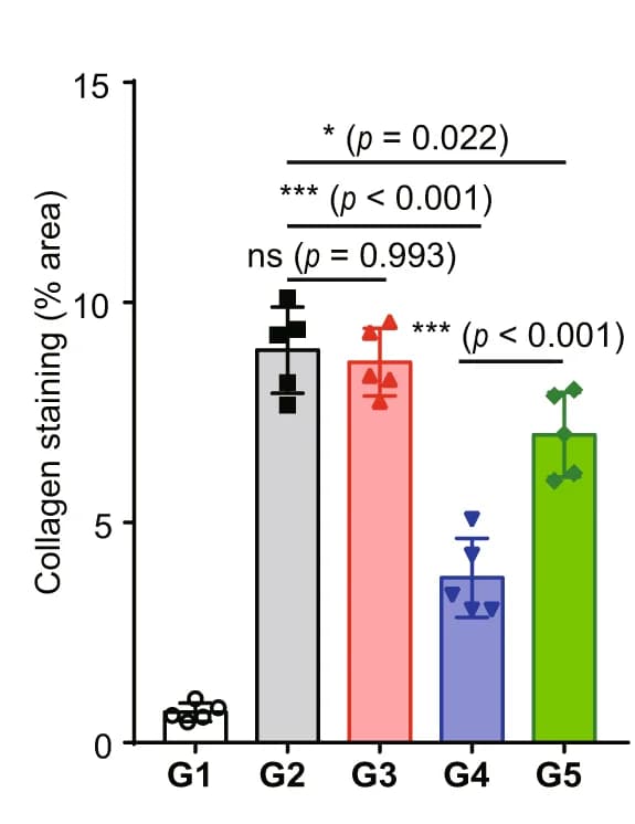 Open access visualization of Bar Plot, Error Bars, Serum Aspartate Aminotransferase, AST