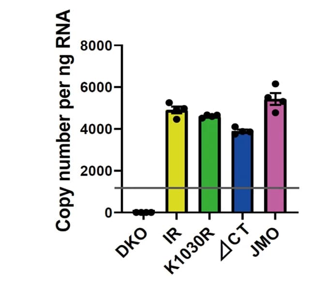 Open access visualization of Bar Plot, Error Bars, mRNA Levels, Recombinant Receptors, qPCR